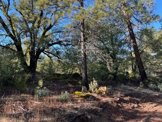 Property from 5806 Vacation Blvd - KW - Somerset, California, 95684