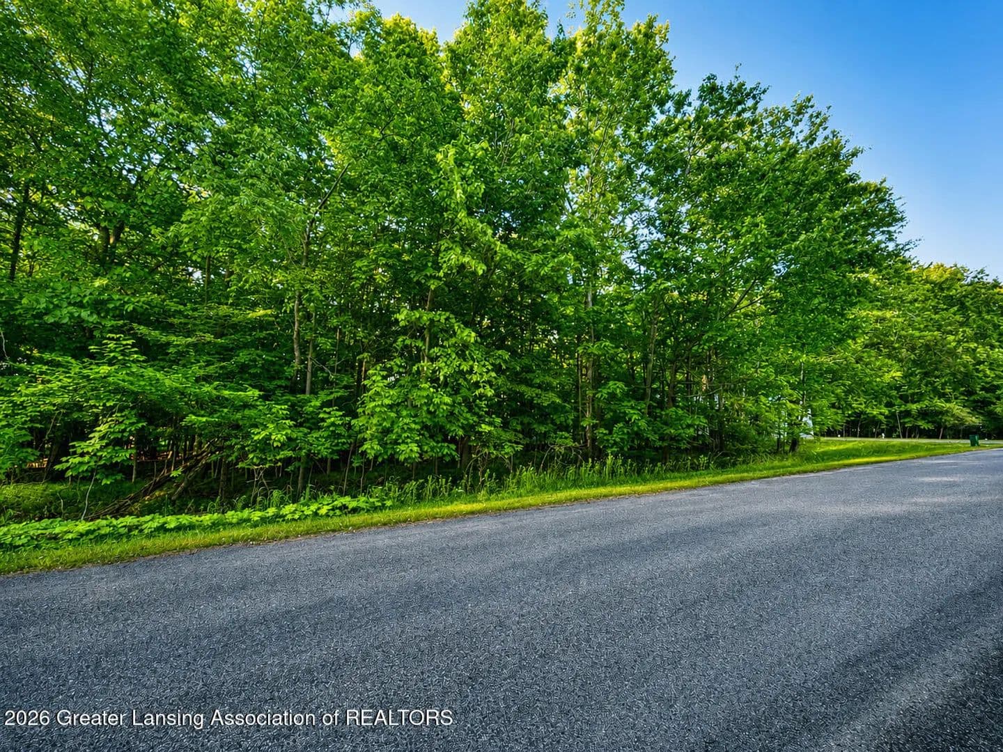 Property from V/l Lot 133 Hardwood - KW - Perrinton, Michigan, 48871