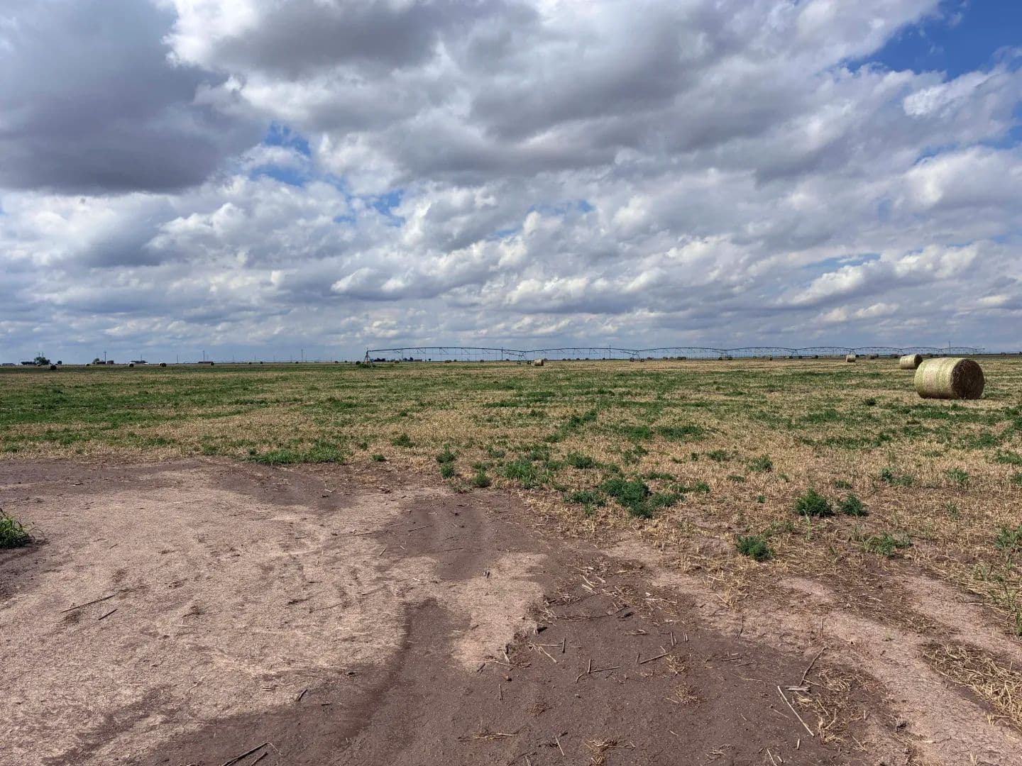 Irrigated Farm East of Guymon - Guymon, Oklahoma, 73941
