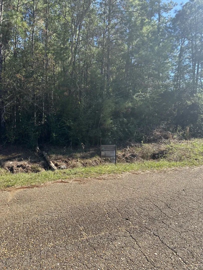 Land -Single Family Acreage in Deridder - Deridder, Louisiana, 70634