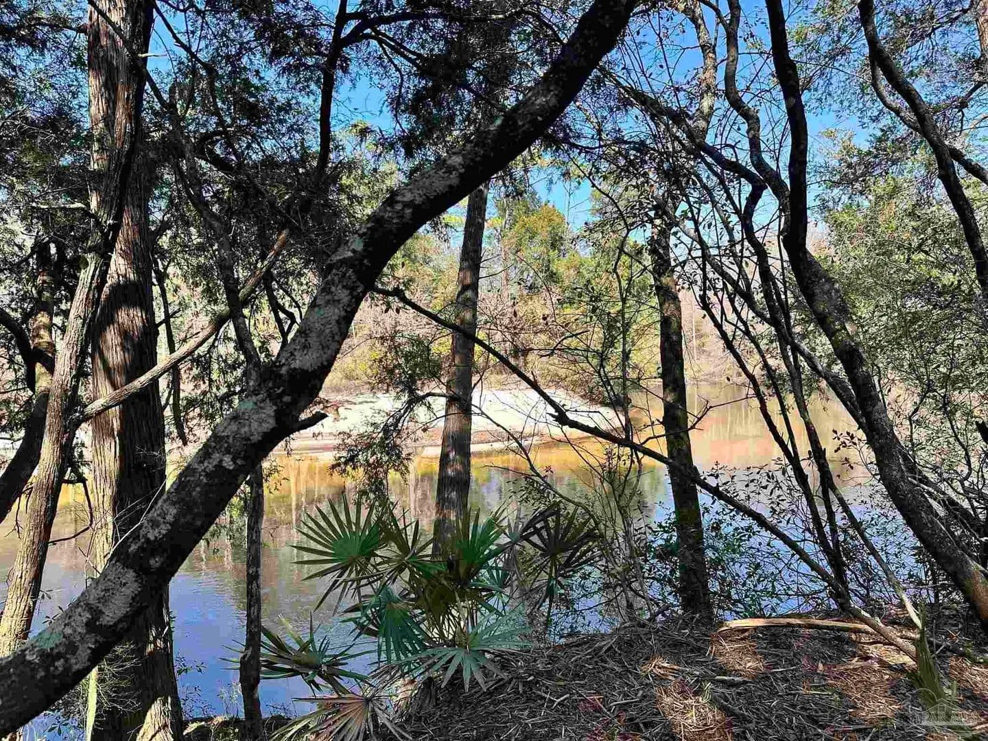 Vacant Land in Cantonment - Cantonment, Florida, 32533