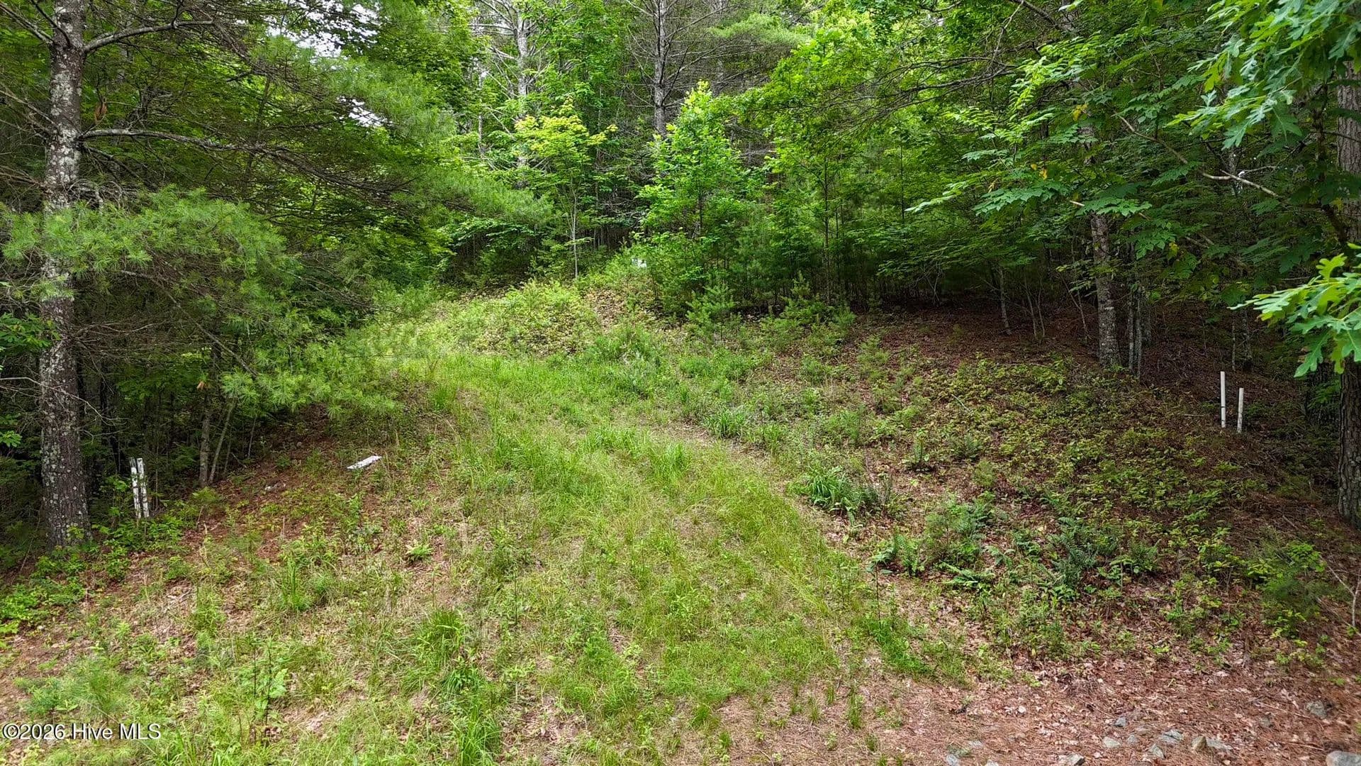 Property from 00 Choctaw Ridge Trail - KW - Murphy, North Carolina, 28906
