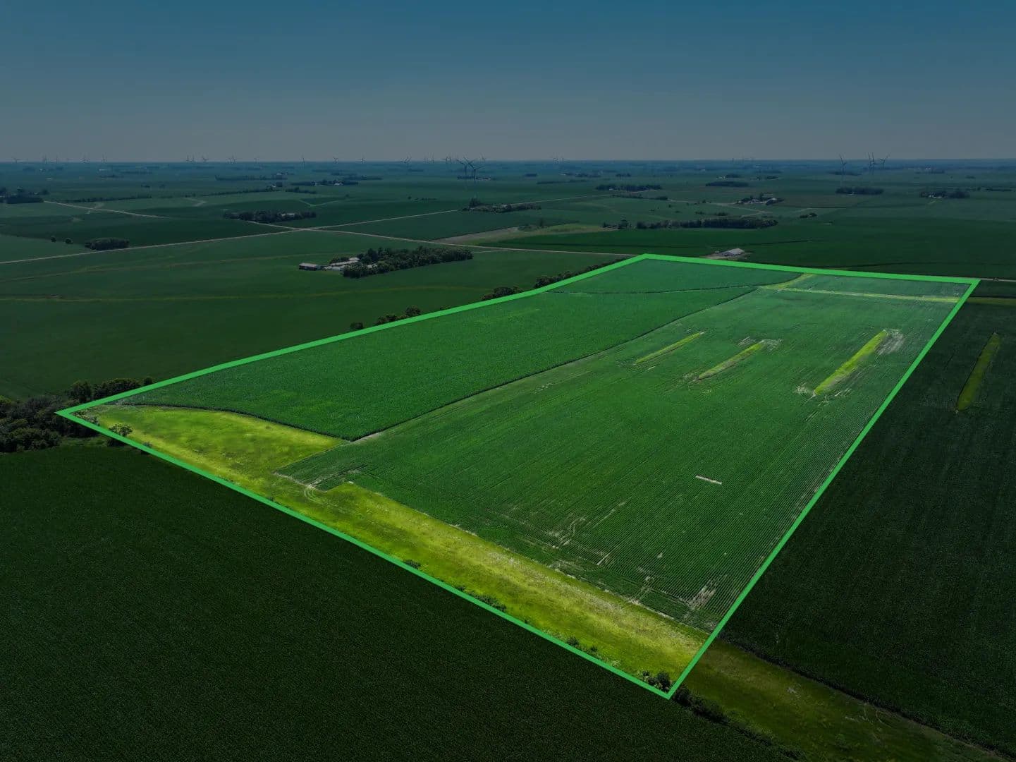 120.00± Acre Farm Auction Dodge County - land for sale