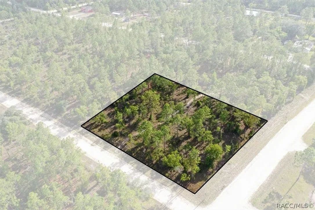 Lots & Land-Other in Williston - Williston, Florida, 32696