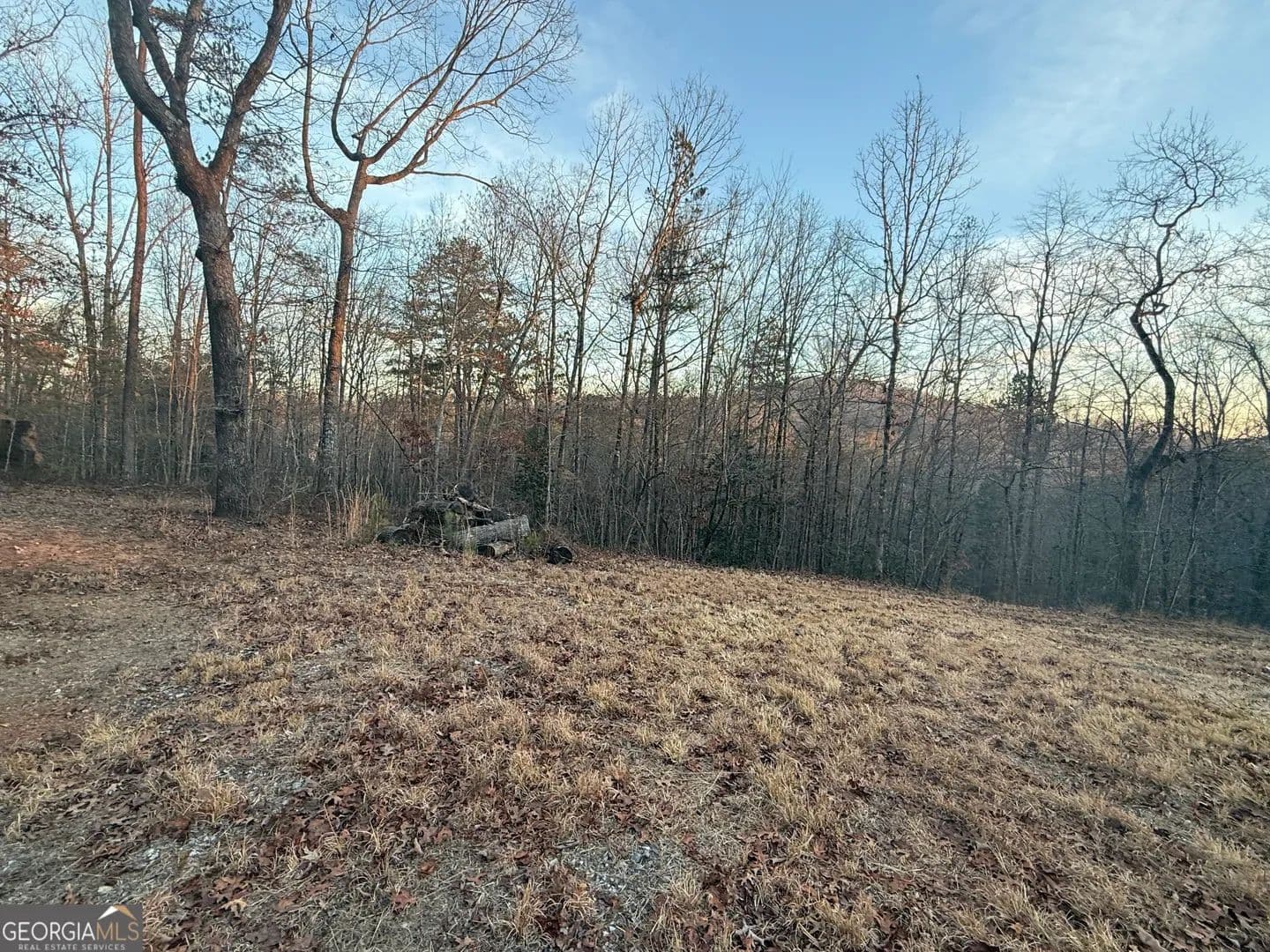 8.27 Acres of Land for Sale in Demorest, Georgia - Demorest, Georgia, 30535