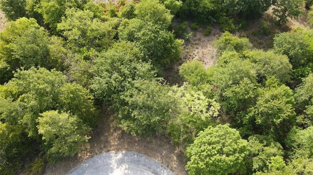 Vacant Land in Whitney - land for sale