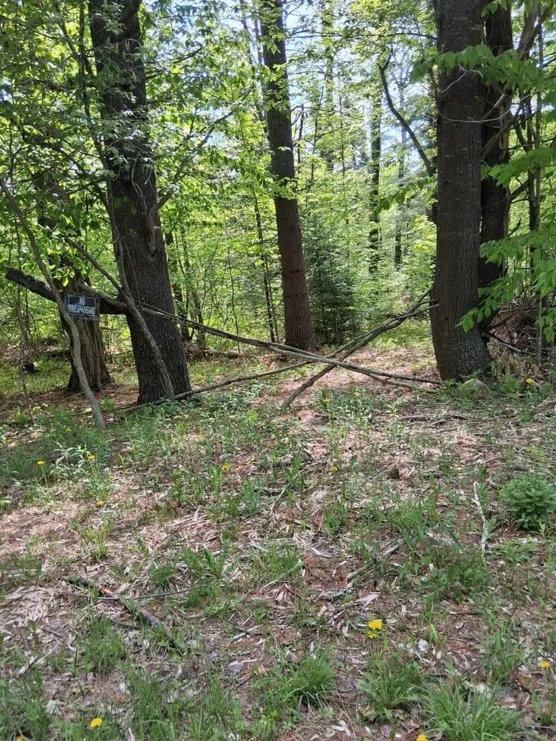 2 Acres of Land for Sale in Brownville, Maine - Brownville, Maine, 04414