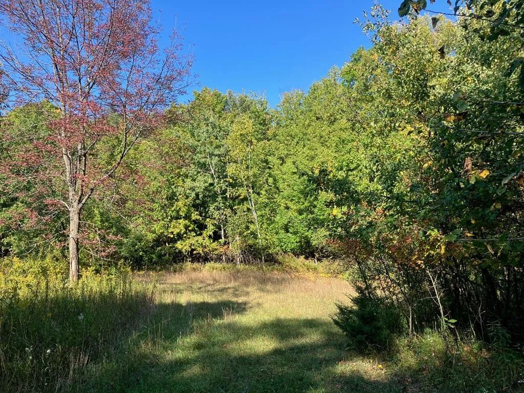 6.43 Acres of Land for Sale in Sister Bay, Wisconsin - Sister Bay, Wisconsin, 54234