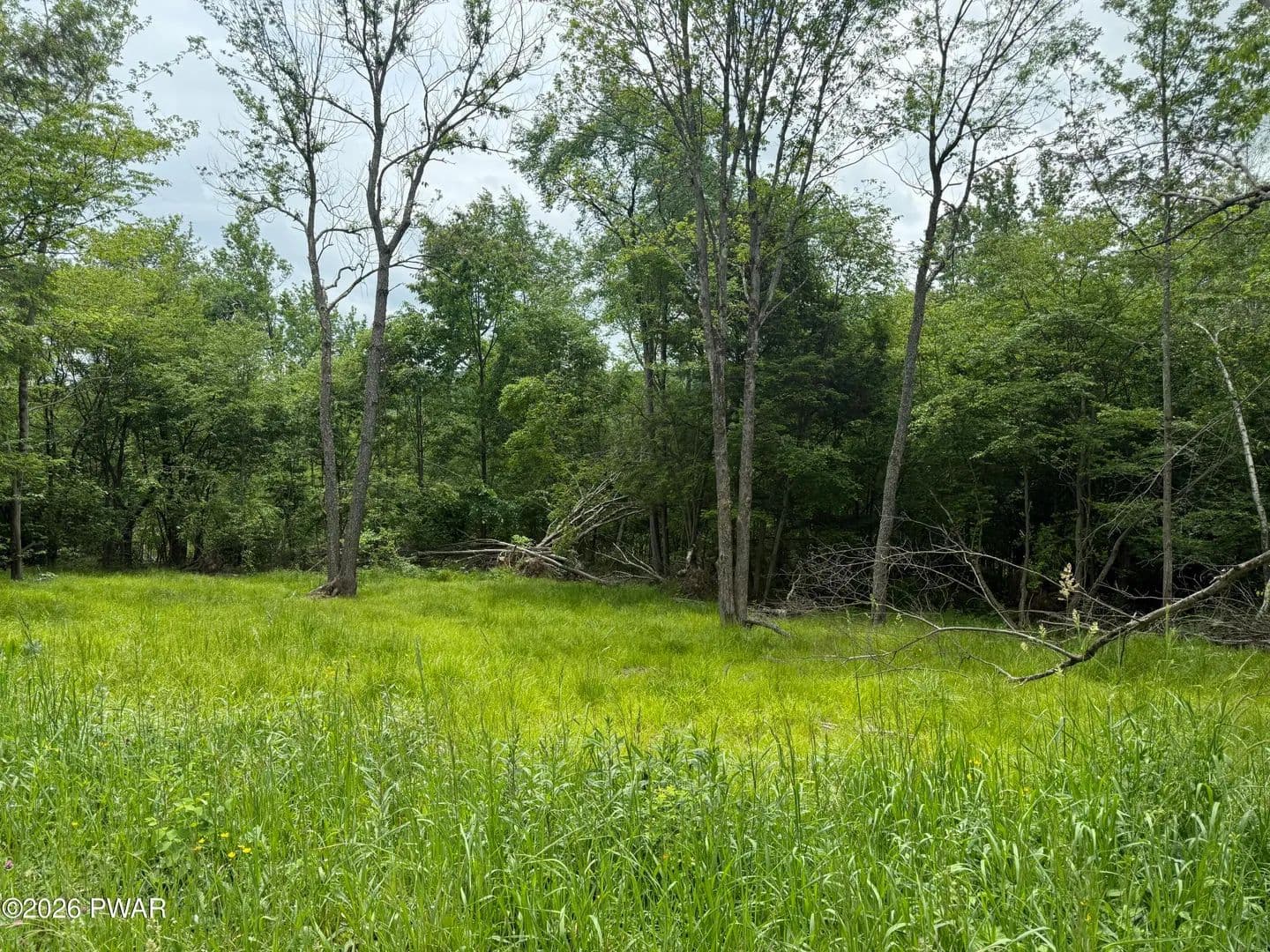 Property from Beaver Hollow Road - KW - Lakewood, Pennsylvania, 18439