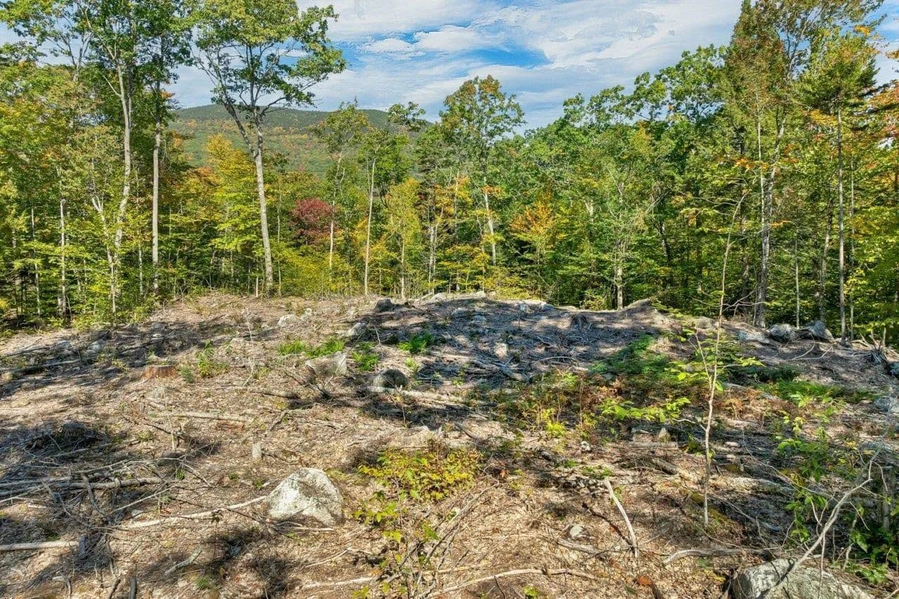 49.64 Acres of Land for Sale in Sandwich, NH - Sandwich, New Hampshire, 03227