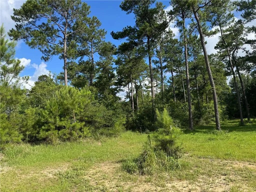 Property from 4502 Cypress Park Drive - KW - Mobile, Alabama, 36619