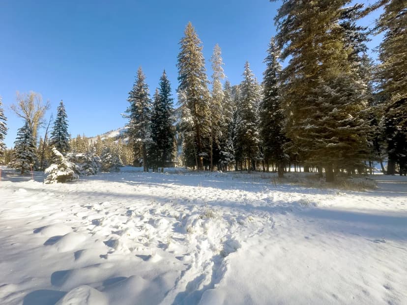 Snake River Sporting Club - Lot 82