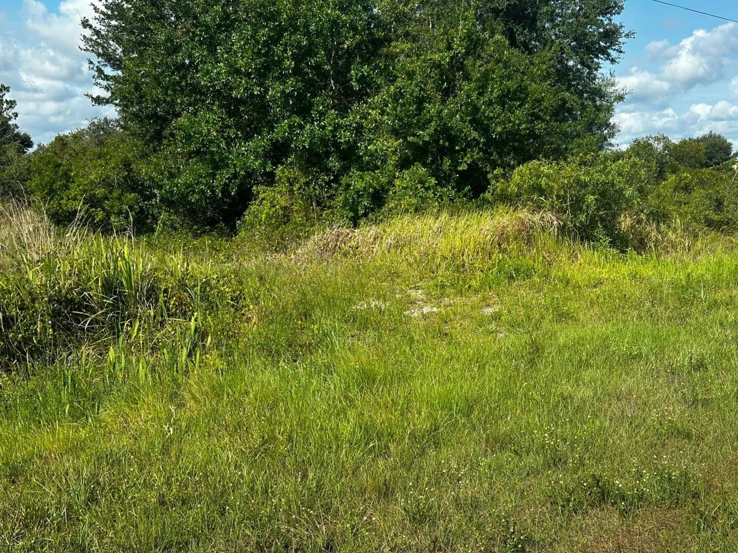 Property from 15138 NW 262nd Street - KW - Okeechobee, Florida, 34972