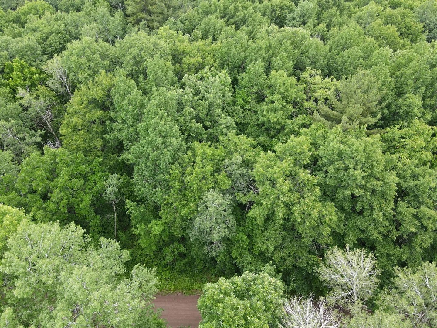 1.2 Acres of Land for Sale in Pine City, MN - Pine City, Minnesota, 55063