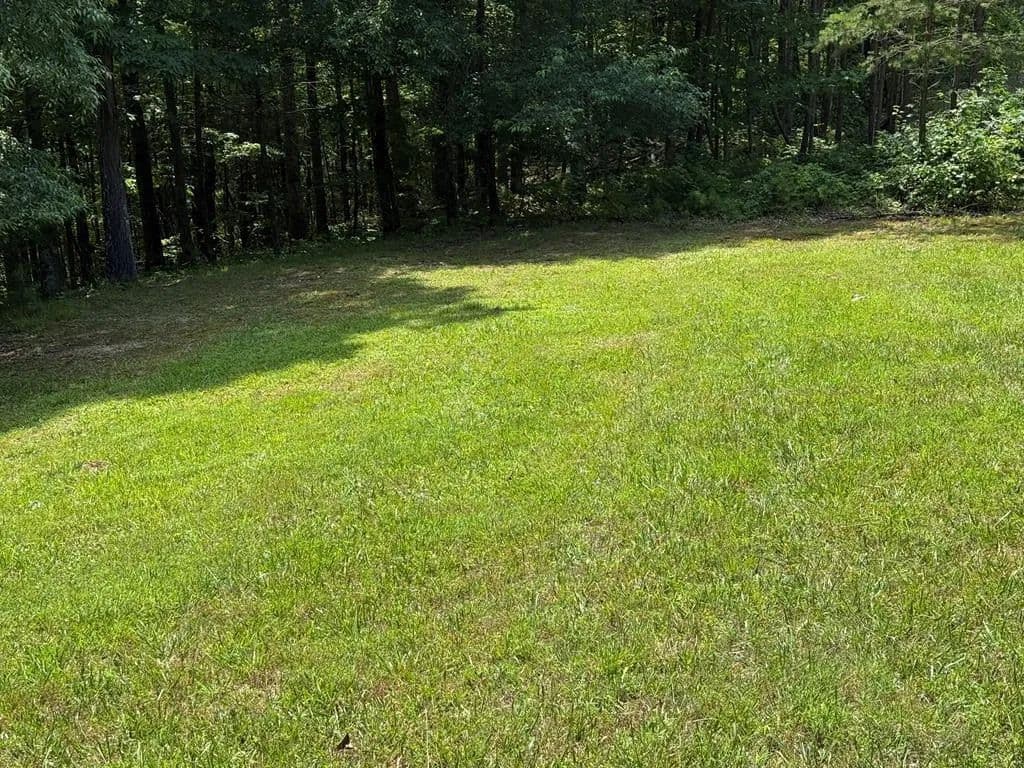 Property from LOT 43 New River Oaks #LOT 43 - KW - Austinville, Virginia, 24312