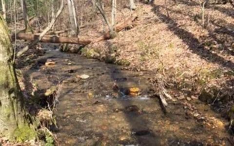 Property from 0 Gooch Creek Cove - KW - Suches, Georgia, 30572