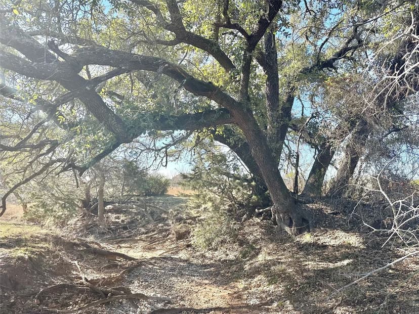 Property from 85 County Road 549 - KW