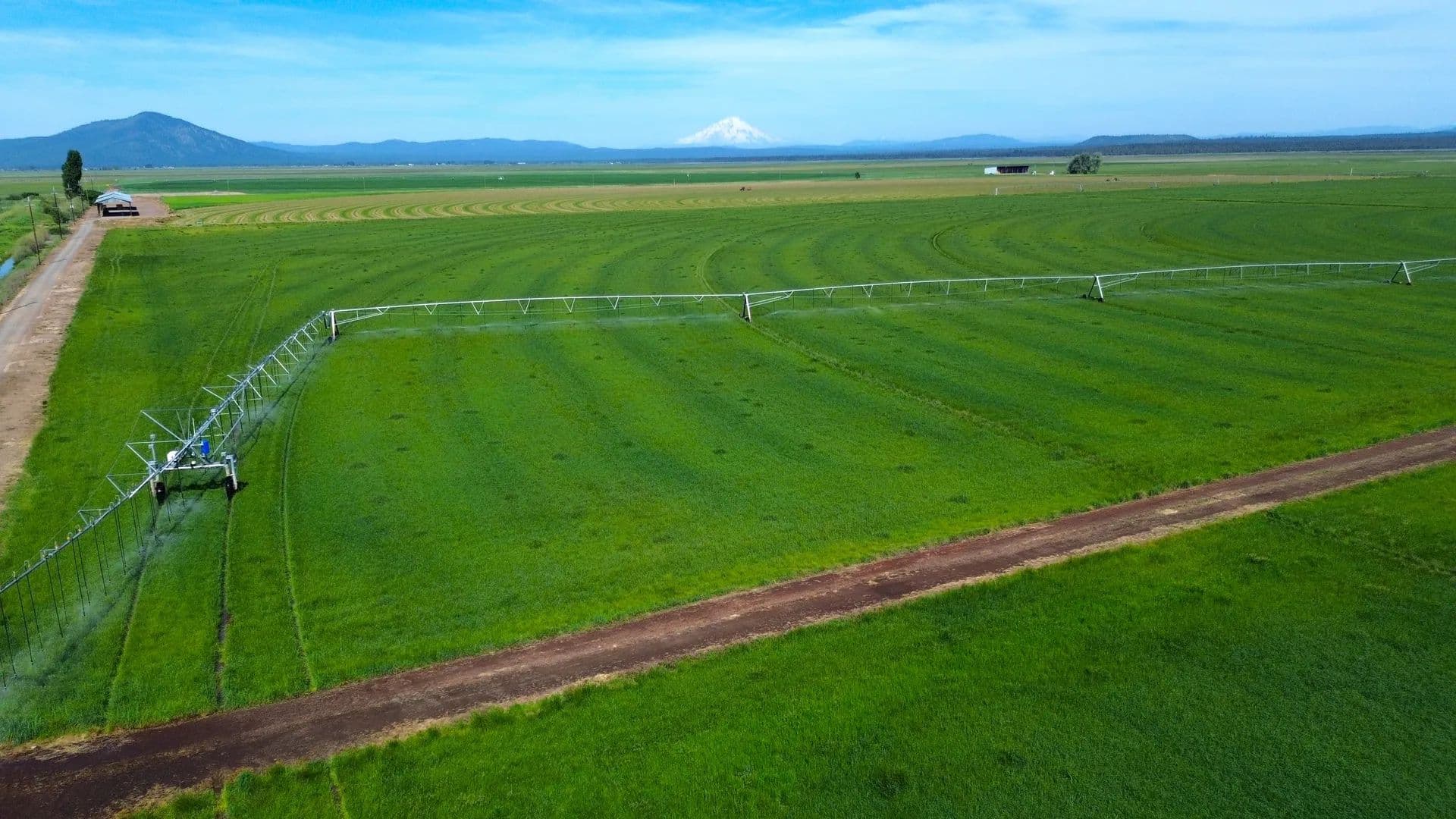 Carroll Pivot Ranch - Mcarthur, California, 96056