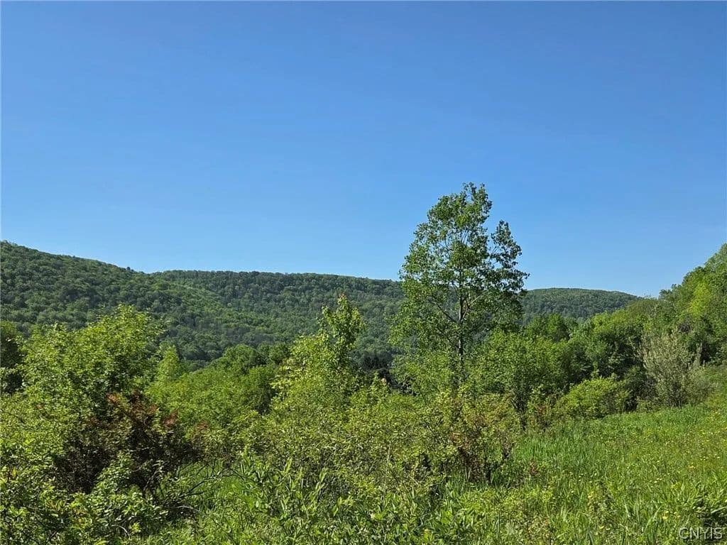 130 Acres of Land for Sale in Cuba, NY - Cuba, New York, 14727