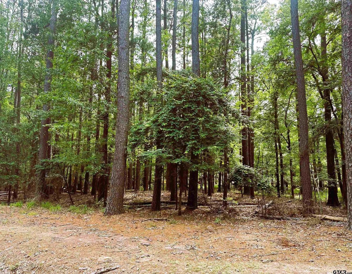 0.4 Acres of Land for Sale in Mt Vernon, Texas - Mt Vernon, Texas, 75457