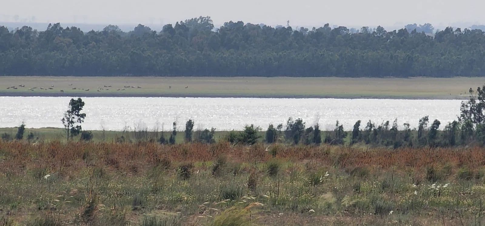 Land for Sale in Vaal Marina, Gauteng - land for sale