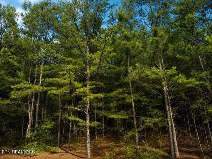 Property from Lot 12 County Road 754 - KW - Riceville, Tennessee, 37370