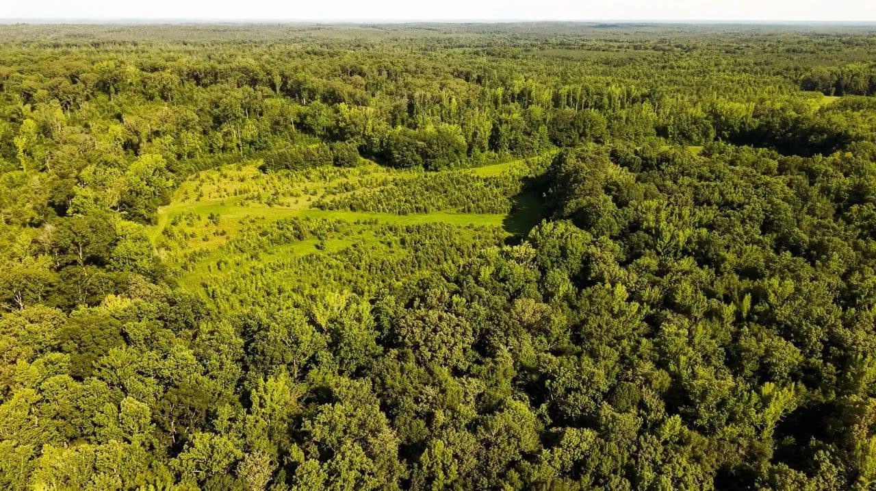 Deer Hill Rd 400 Acre - Nettleton, Mississippi, 38858