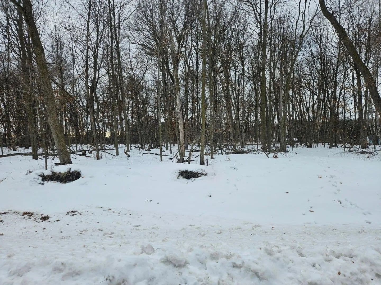 Lots & Land-Other in Saint Stephen - Saint Stephen, Minnesota, 56375