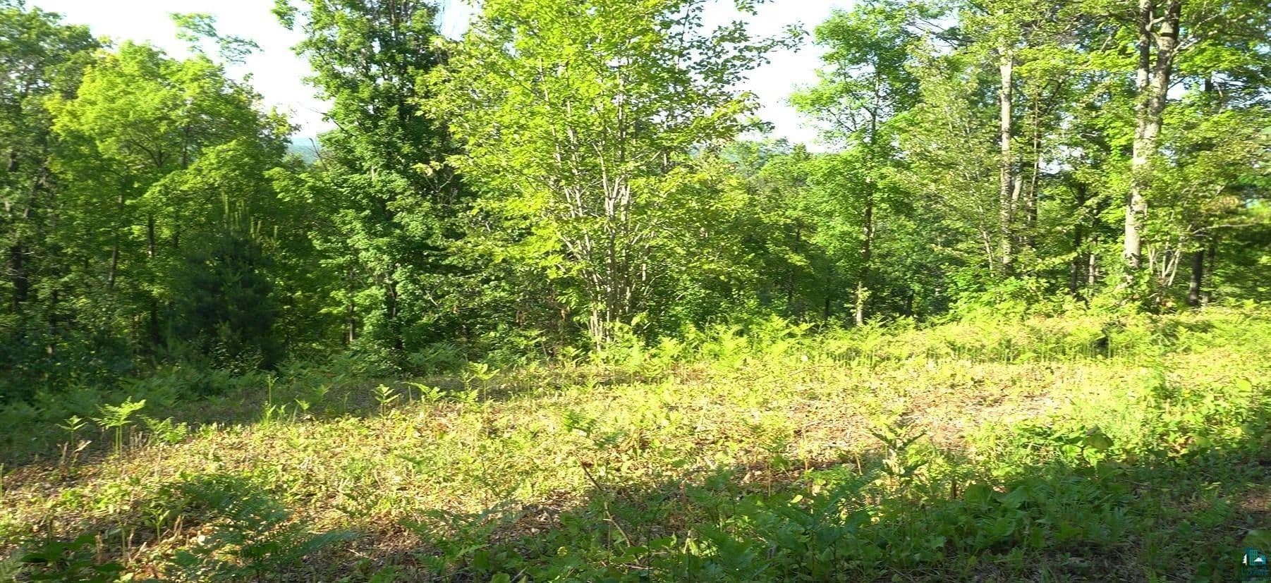 Vacant Land in Bayfield - land for sale