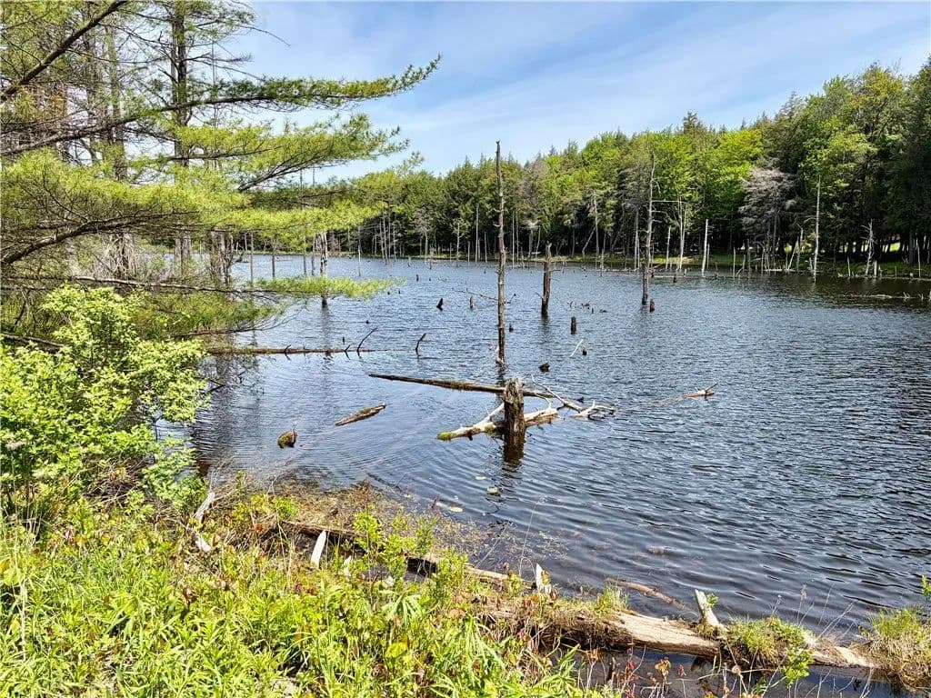 Property from 0 Maples Road - KW - Milford, New York, 13348