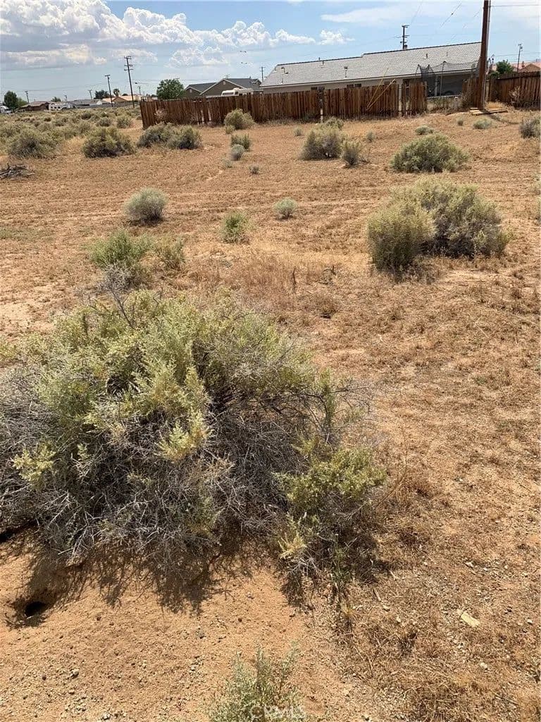 Vacant Land in California City - California City, California, 93505