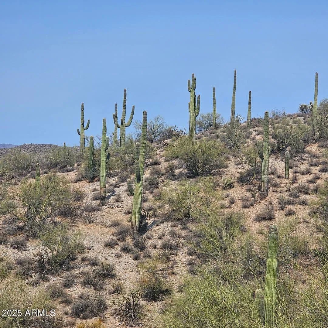Lots & Land-Other in Wickenburg - land for sale