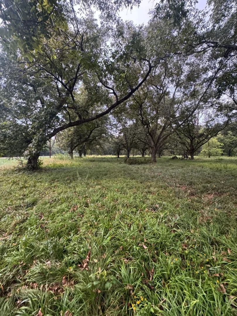Two 1.5 Acre Lots in Madison Parish, LA - Tallulah, Louisiana, 71282