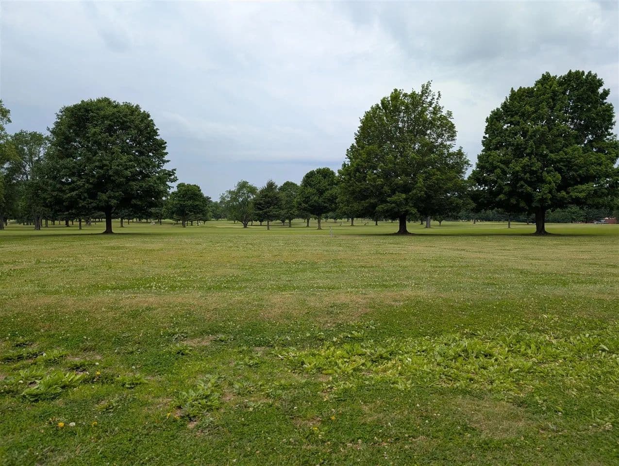 Property from V/L Woodland - KW - Dowagiac, Michigan, 49047
