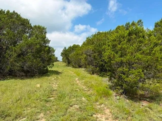 40 Acres of Land for Sale in Hico, TX - Hico, Texas, 76457