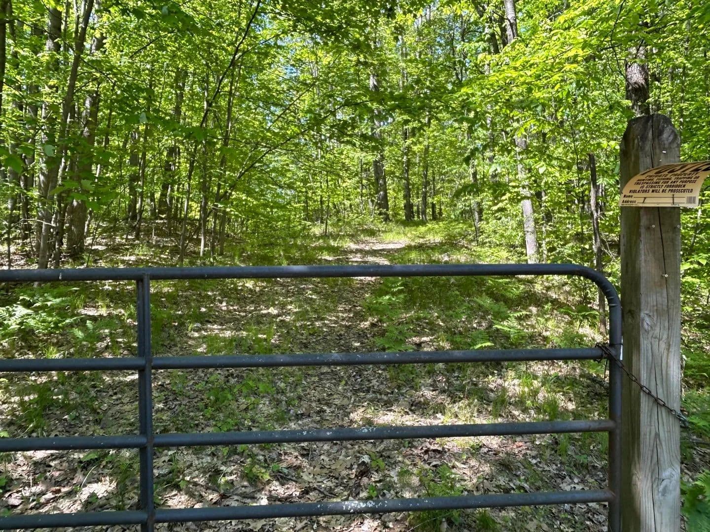 Lots & Land-Other in Mecosta - Mecosta, Michigan, 49332