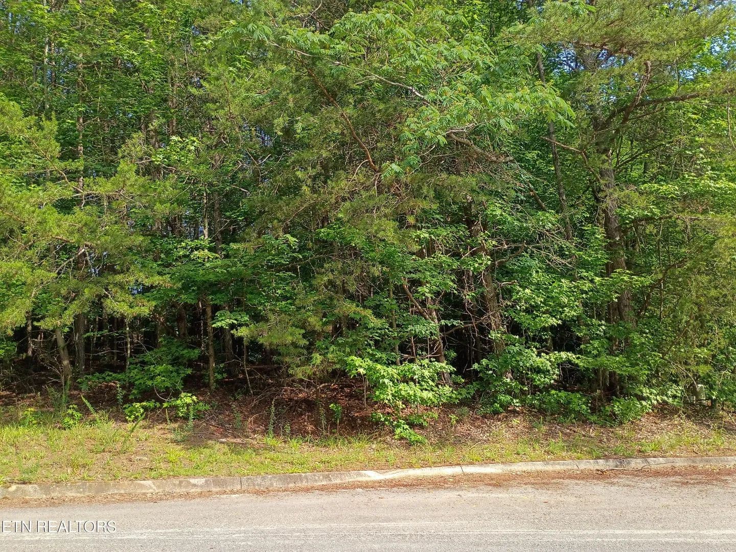 Property from Tanger Court - KW - Harriman, Tennessee, 37748