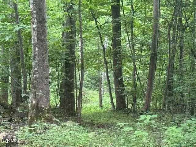 Property from Tbd Sugar Loaf Mountain Road - KW - Marshall, North Carolina, 28753