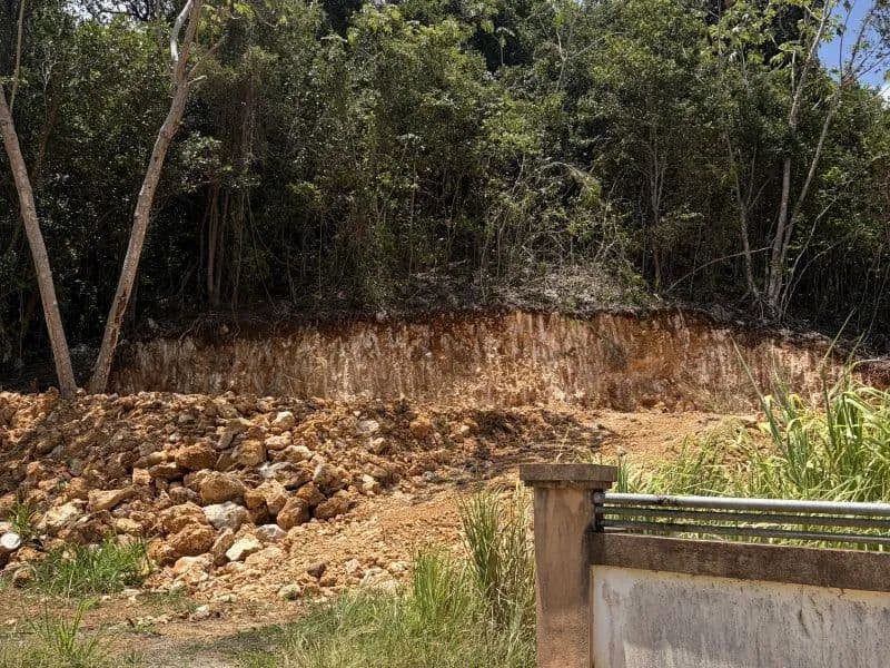 2411 Acres of Land for Sale in Arecibo - land for sale
