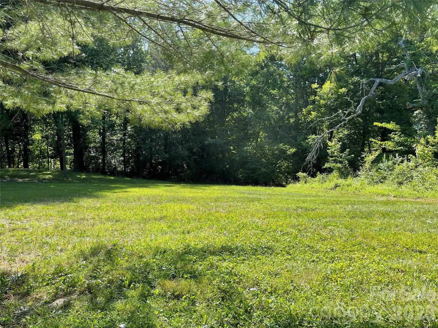 Property from 0 WHITE Street - KW - Lexington, North Carolina, 27292