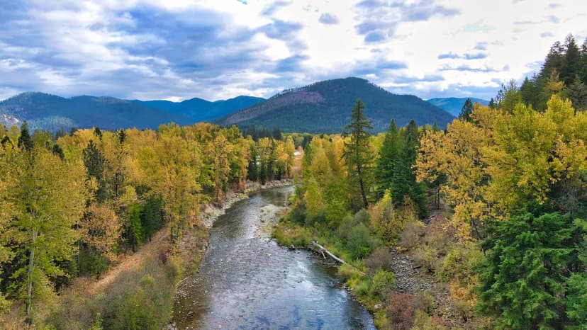 135 Acres of Montana Land for Sale on the St. Regis River - Borders Lolo National Forest!