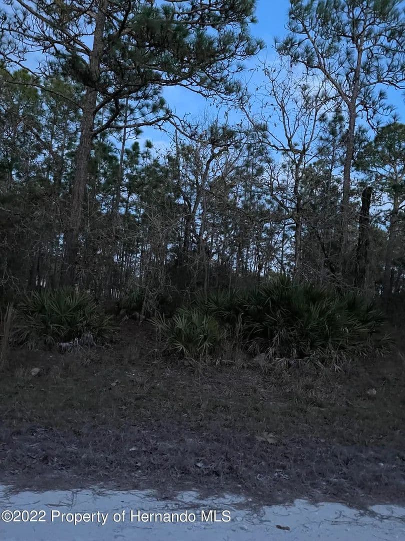 Vacant Land in Weeki Wachee - land for sale