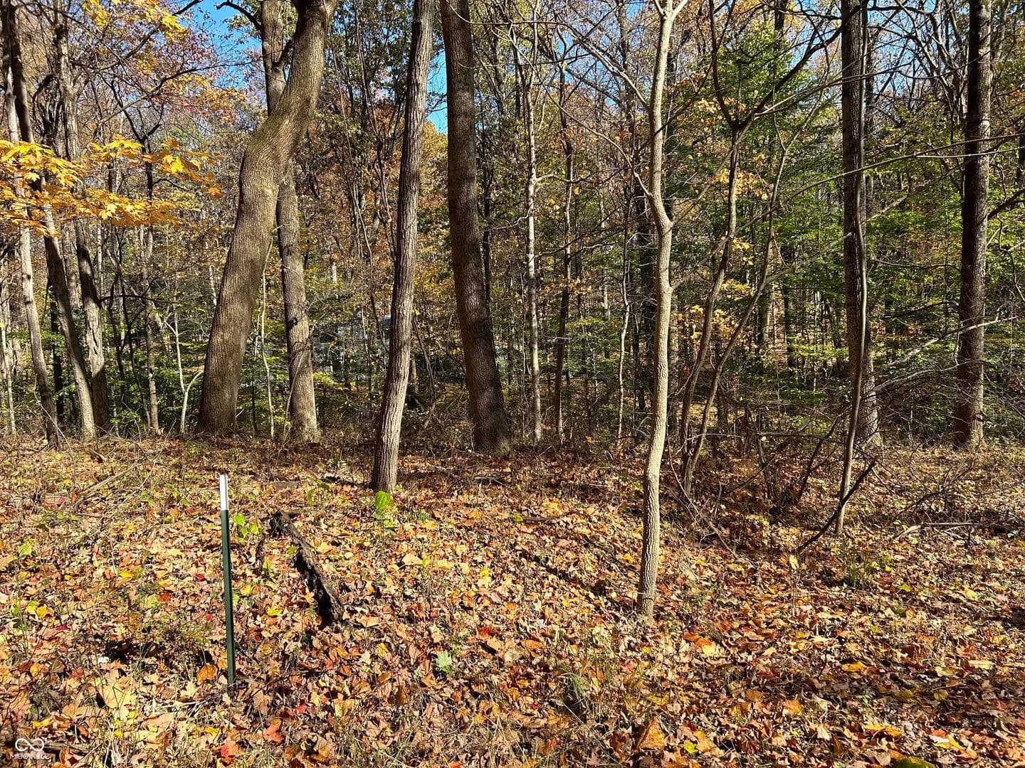 Property from 6726 Catfish Drive - KW - Nineveh, Indiana, 46164