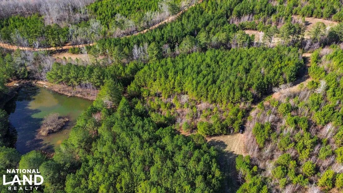 Plantersville Hunting Pond and Timber Investment - Plantersville, Alabama, 36758