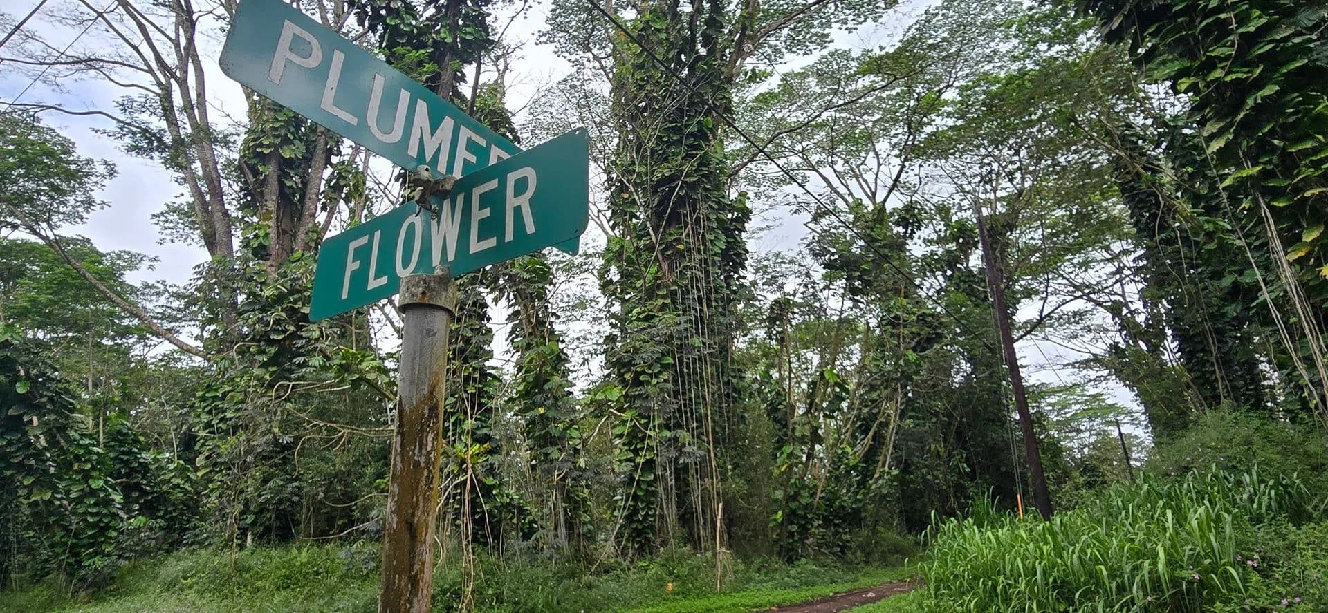 0.18 Acres of Land for Sale in Pahoa, Hawaii - Pahoa, Hawaii, 96778