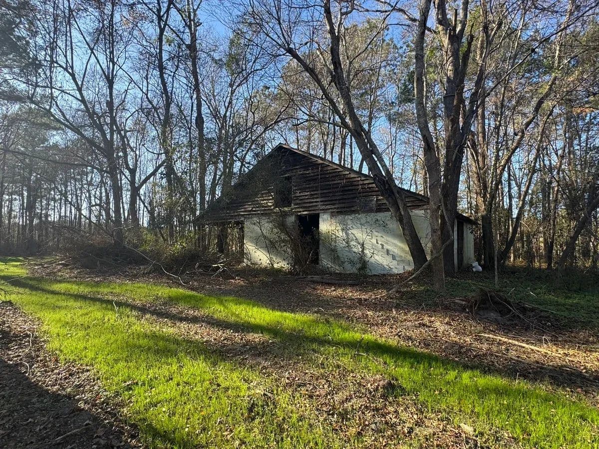 MOUNT ZION - Saint George, South Carolina, 29492