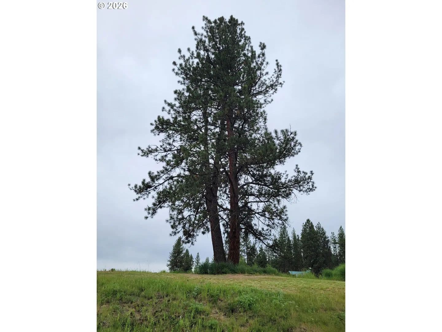 Property from 0 Coombs LOOP - KW - Starkey, Oregon, 97850