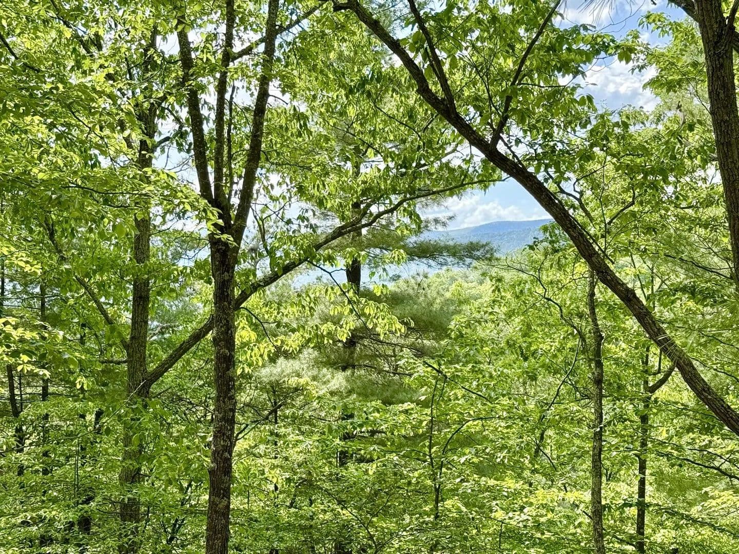 7.44 Acres of Land for Sale in Franklin, West Virginia - Franklin, West Virginia, 26807