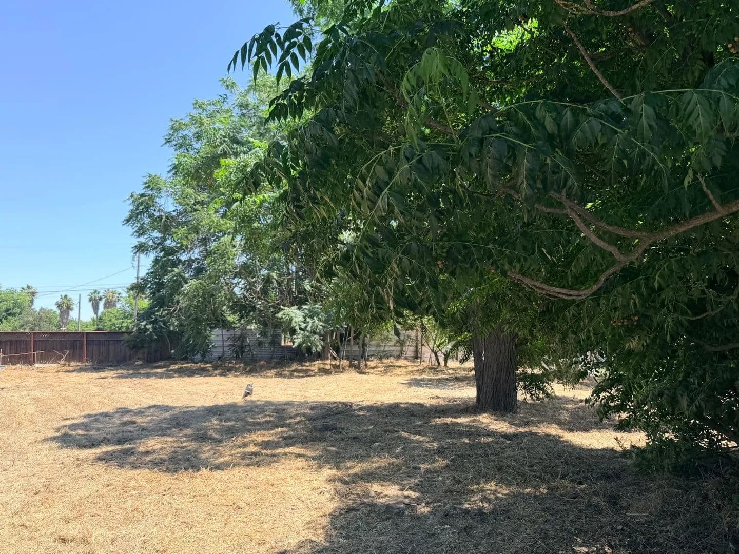 Property from 228 H Street - KW - Turlock, California, 95380