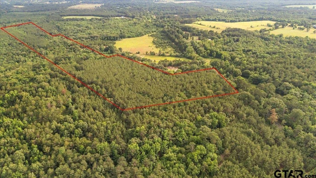 Property from TBD S FM 225 #TBD S FM 225 - KW - Laneville, Texas, 75667